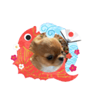可愛イッヌスタンプ（個別スタンプ：7）