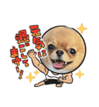 可愛イッヌスタンプ（個別スタンプ：10）