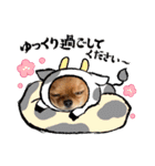可愛イッヌスタンプ（個別スタンプ：12）