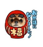 可愛イッヌスタンプ（個別スタンプ：13）