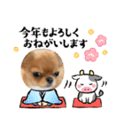 可愛イッヌスタンプ（個別スタンプ：15）