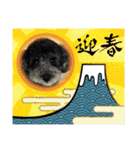 ハリーさんの日常（個別スタンプ：32）