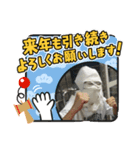 正月の挨拶集（個別スタンプ：7）