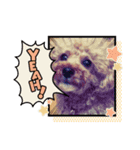 からちょびもーみかん（個別スタンプ：1）