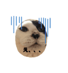 からちょびもーみかん（個別スタンプ：4）