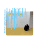 クラヴマガたけしスタンプ2（個別スタンプ：20）