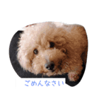 おふざけ挨拶（個別スタンプ：9）