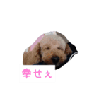 おふざけ挨拶（個別スタンプ：10）