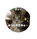 びぃすけままの伝言（個別スタンプ：2）