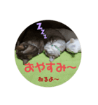 びぃすけままの伝言（個別スタンプ：3）