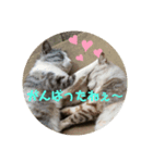 びぃすけままの伝言（個別スタンプ：4）