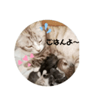 びぃすけままの伝言（個別スタンプ：5）