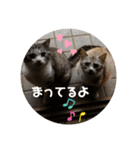 びぃすけままの伝言（個別スタンプ：7）
