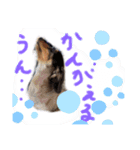 ダックス♡はっちゃん（個別スタンプ：1）