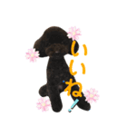 RAN＆MILK 日記（個別スタンプ：7）