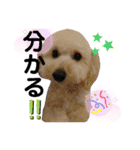 RAN＆MILK 日記（個別スタンプ：9）