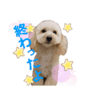 RAN＆MILK 日記（個別スタンプ：14）