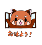 meriのレッサーパンダ（個別スタンプ：1）