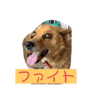 ちゃぴー。ぷりん。ぴゅあ（個別スタンプ：3）