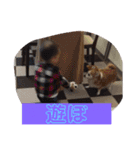ちゃぴー。ぷりん。ぴゅあ（個別スタンプ：6）