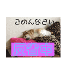 ちゃぴー。ぷりん。ぴゅあ（個別スタンプ：11）