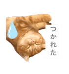 ティミーくん（個別スタンプ：8）