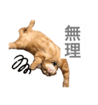 ティミーくん（個別スタンプ：10）