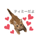 ティミーくん（個別スタンプ：11）