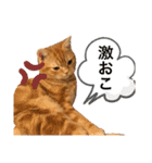 ティミーくん（個別スタンプ：13）