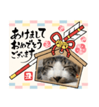 あけおめスタンプにゃんこ（個別スタンプ：2）