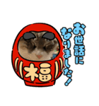 あけおめスタンプにゃんこ（個別スタンプ：5）