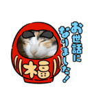 あけおめスタンプにゃんこ（個別スタンプ：8）