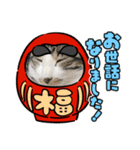 あけおめスタンプにゃんこ（個別スタンプ：11）