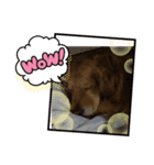 愉快な怜央37（個別スタンプ：3）