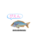 BARASHIMASUスタンプ(タマン編)（個別スタンプ：6）