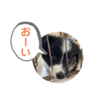 MOKO ♥︎︎ ①（個別スタンプ：1）