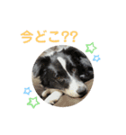 MOKO ♥︎︎ ①（個別スタンプ：2）