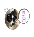 MOKO ♥︎︎ ①（個別スタンプ：3）