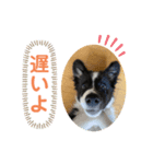 MOKO ♥︎︎ ①（個別スタンプ：5）