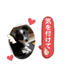 MOKO ♥︎︎ ①（個別スタンプ：7）