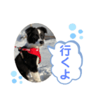 MOKO ♥︎︎ ①（個別スタンプ：8）