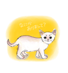 我が家のお猫様スタンプ2（個別スタンプ：1）