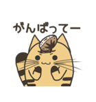 【ねこ豆】毎日使えるやんちゃボーイズ語録（個別スタンプ：9）