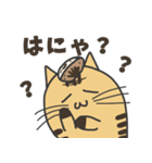 【ねこ豆】毎日使えるやんちゃボーイズ語録（個別スタンプ：28）