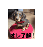 ルークのナイスタンプ！（個別スタンプ：3）