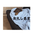 ルークのナイスタンプ！（個別スタンプ：4）