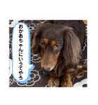 ルークのナイスタンプ！（個別スタンプ：5）