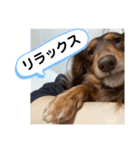 ルークのナイスタンプ！（個別スタンプ：7）