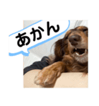 ルークのナイスタンプ！（個別スタンプ：8）