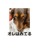 ルークのナイスタンプ！（個別スタンプ：9）